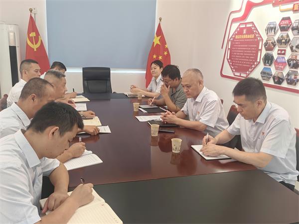 公司領導調研指導鼎信公司、藍盾...